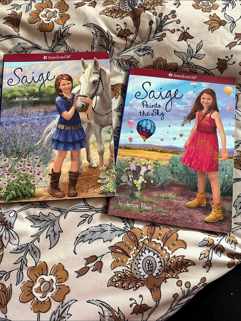 American Girl Saige Book Set: Saige & Saige Paints the Sky